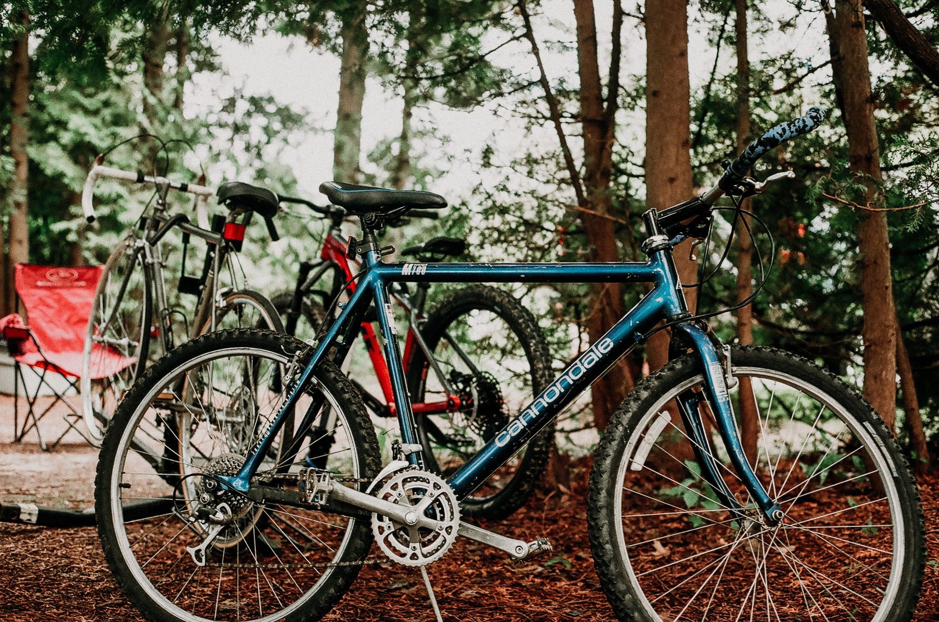 Group of mountain bikes parked outdoors in a scenic forest setting.